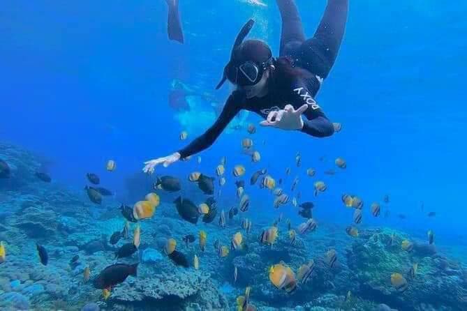 Perairan dangkal tempat snorkeling dimulai